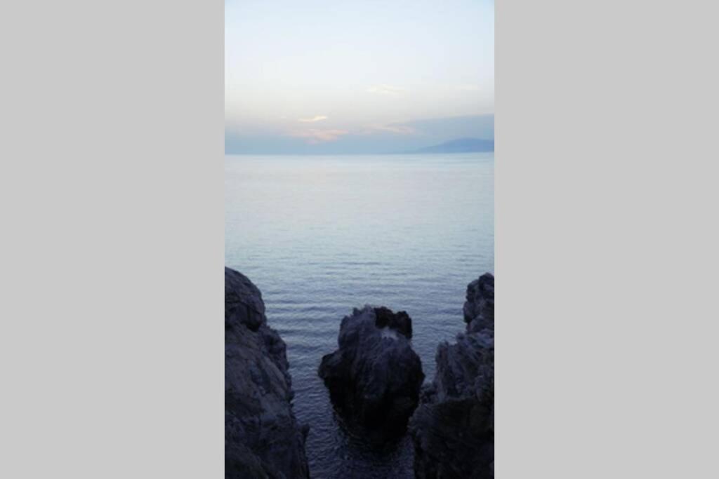 Shark * Agios Ioannis Diakoftis